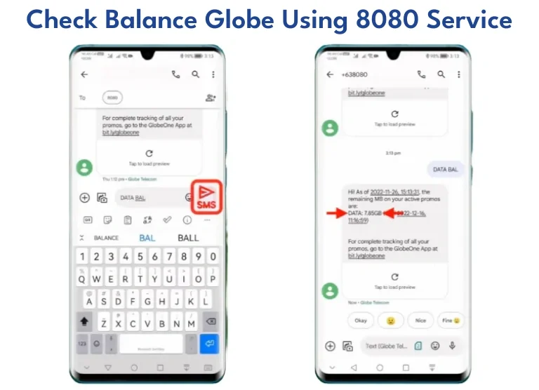Check-Balance-Globe-Using-8080-Service