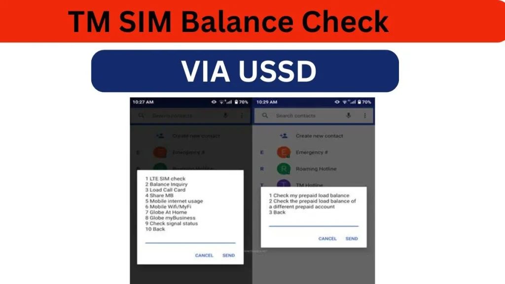 Check-Balance-Via-USSD